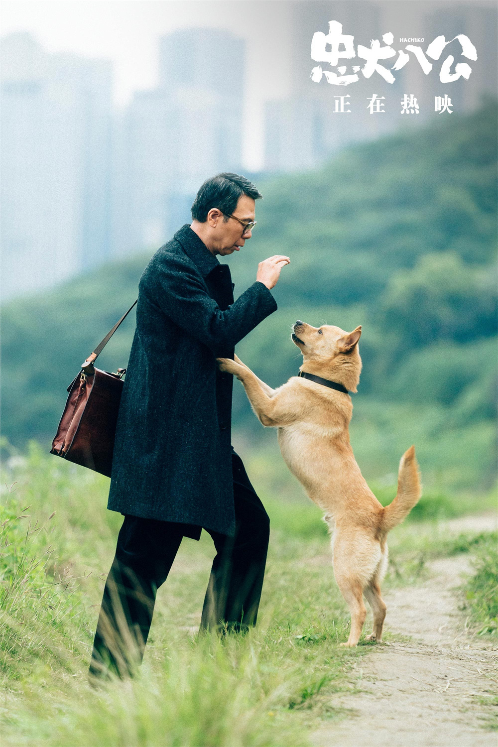 太阳城官网(中国)集团有限公司